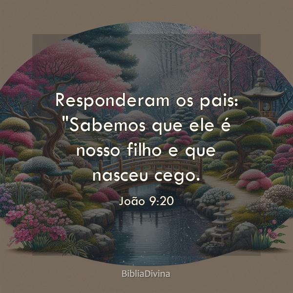 João 9:20