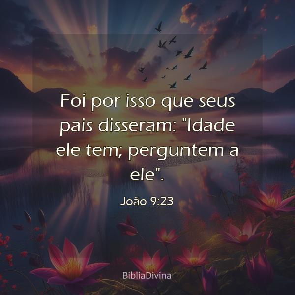 João 9:23