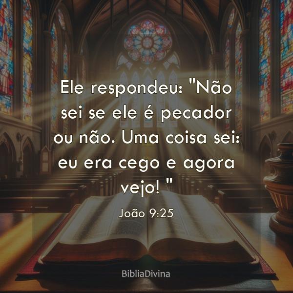 João 9:25