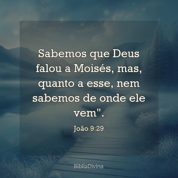 João 9:29