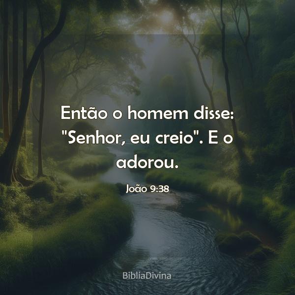 João 9:38