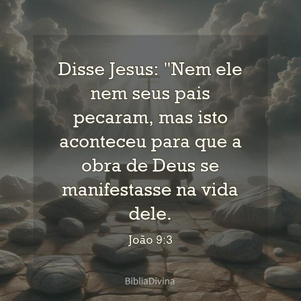 João 9:3