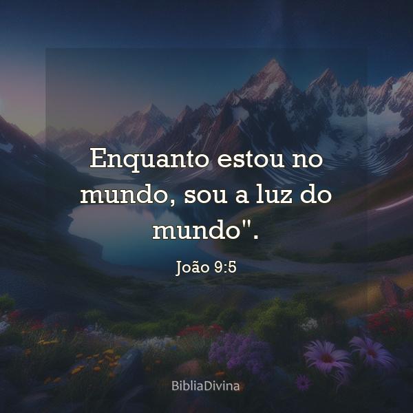 João 9:5