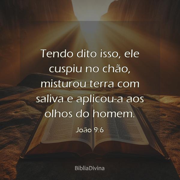 João 9:6