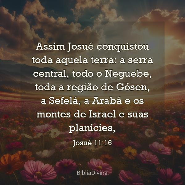 Josué 11:16