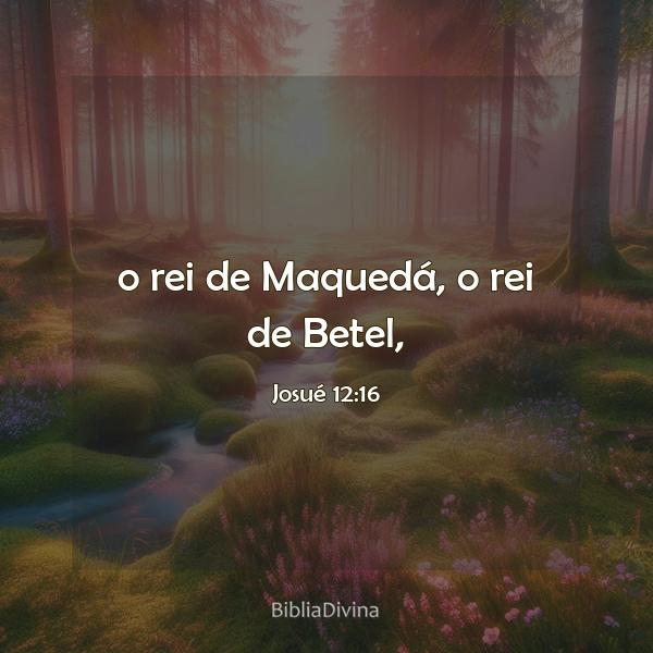 Josué 12:16