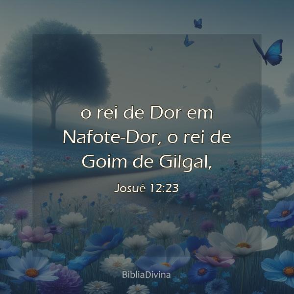 Josué 12:23