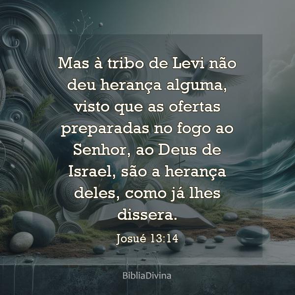 Josué 13:14