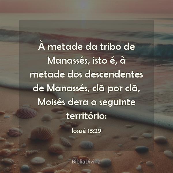 Josué 13:29