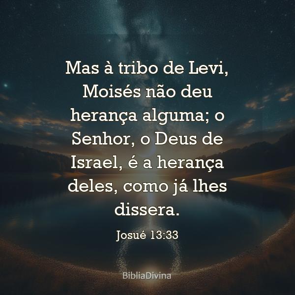 Josué 13:33