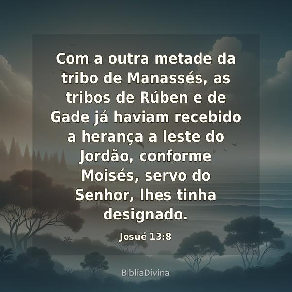 Josué 13:8