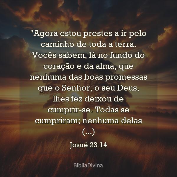 Josué 23:14