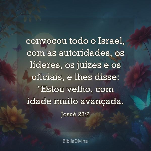 Josué 23:2