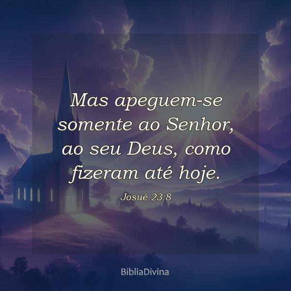 Josué 23:8