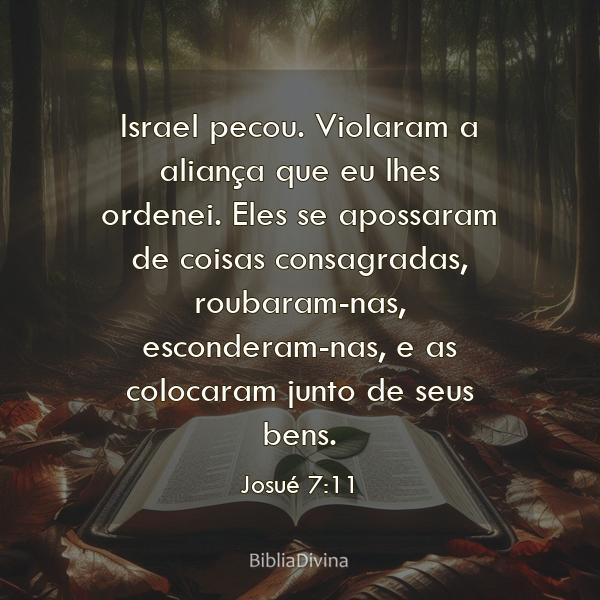 Josué 7:11