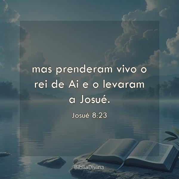 Josué 8:23