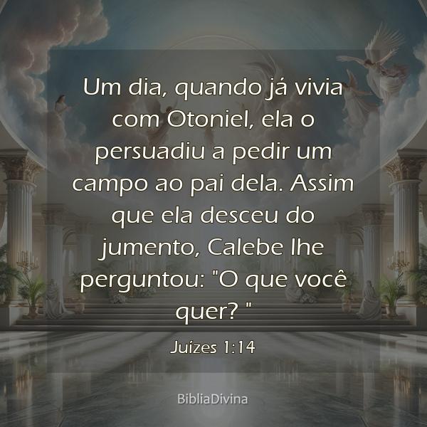 Juízes 1:14