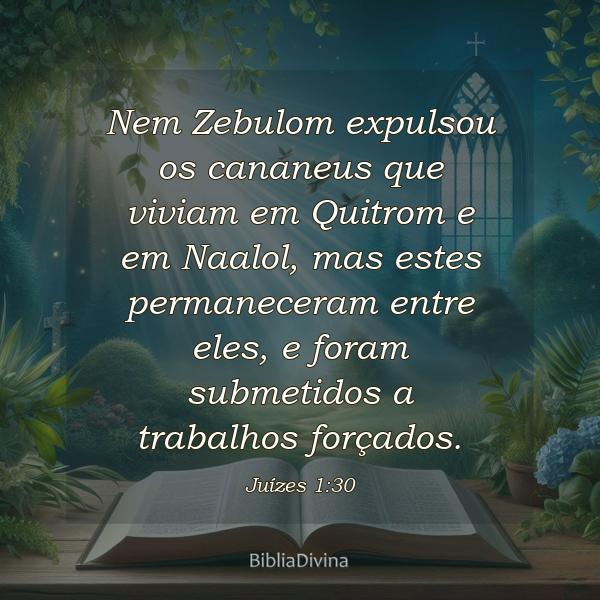 Juízes 1:30