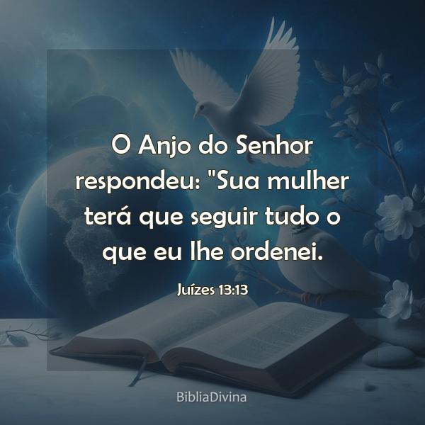 Juízes 13:13