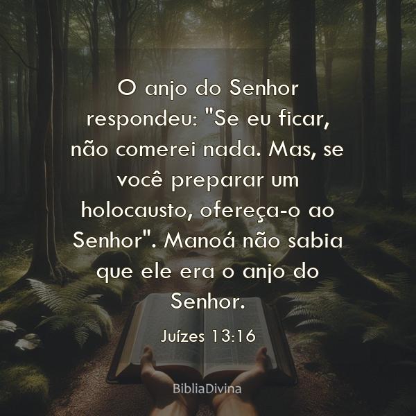 Juízes 13:16