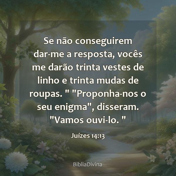 Juízes 14:13