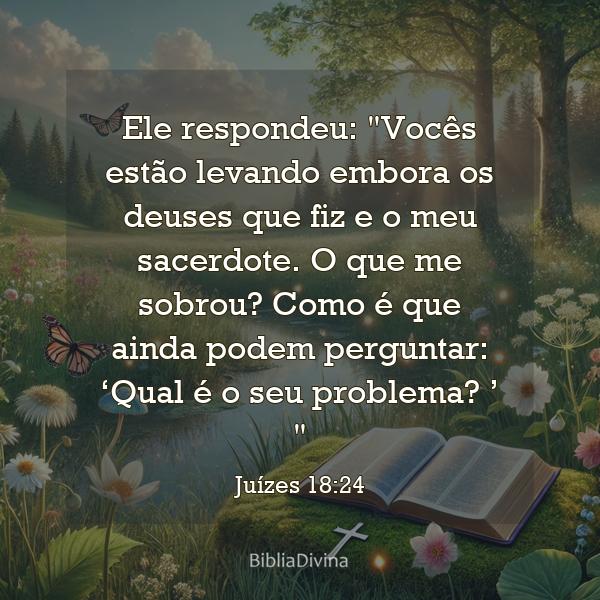 Juízes 18:24