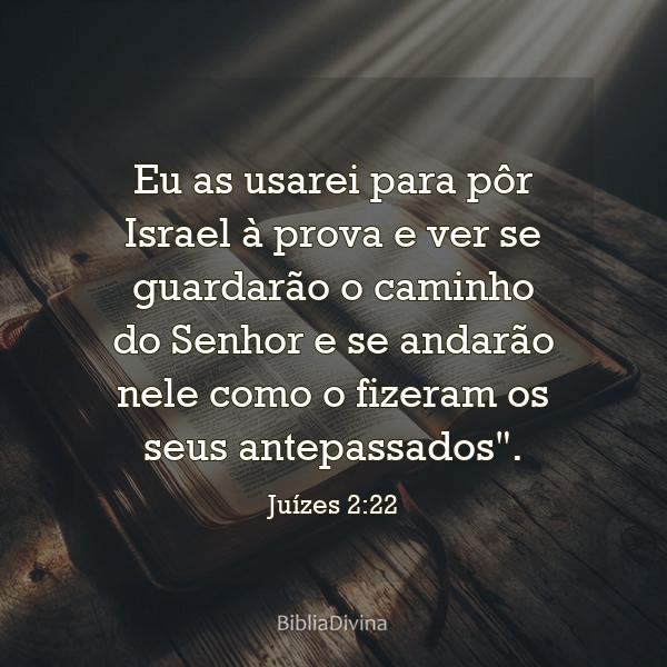 Juízes 2:22