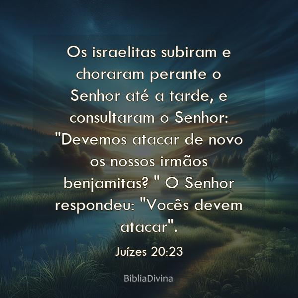 Juízes 20:23