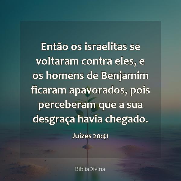 Juízes 20:41