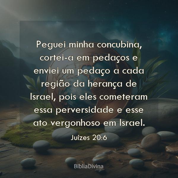 Juízes 20:6