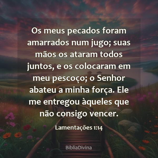 Lamentações 1:14