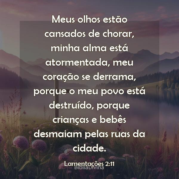 Lamentações 2:11