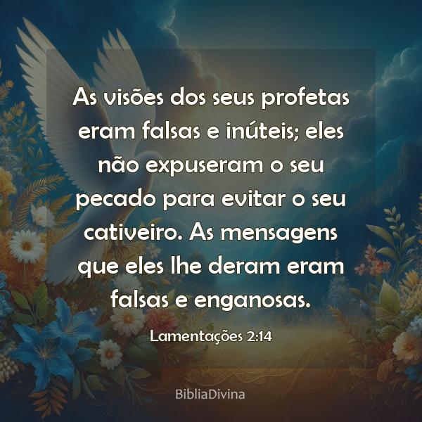 Lamentações 2:14