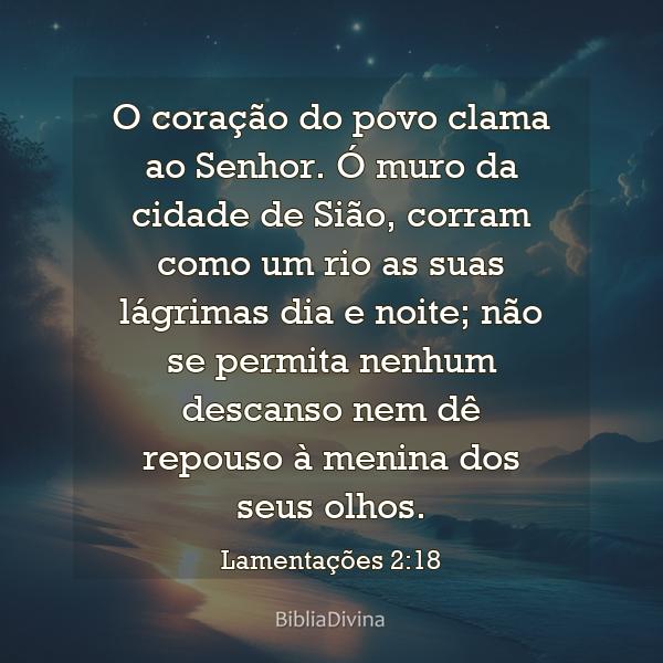 Lamentações 2:18