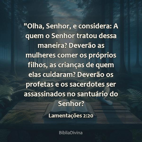 Lamentações 2:20