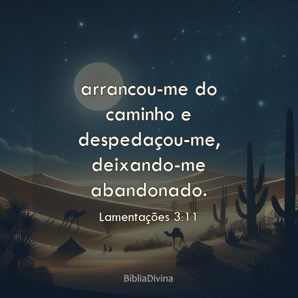 Lamentações 3:11