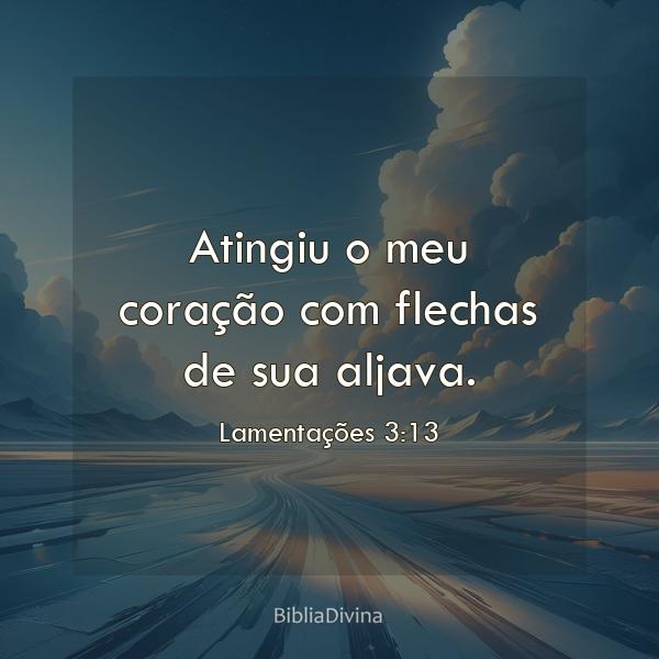 Lamentações 3:13