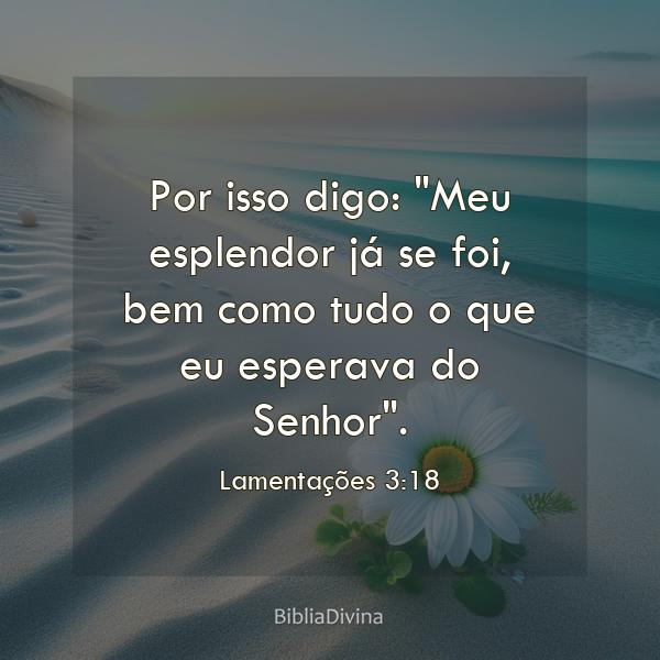 Lamentações 3:18