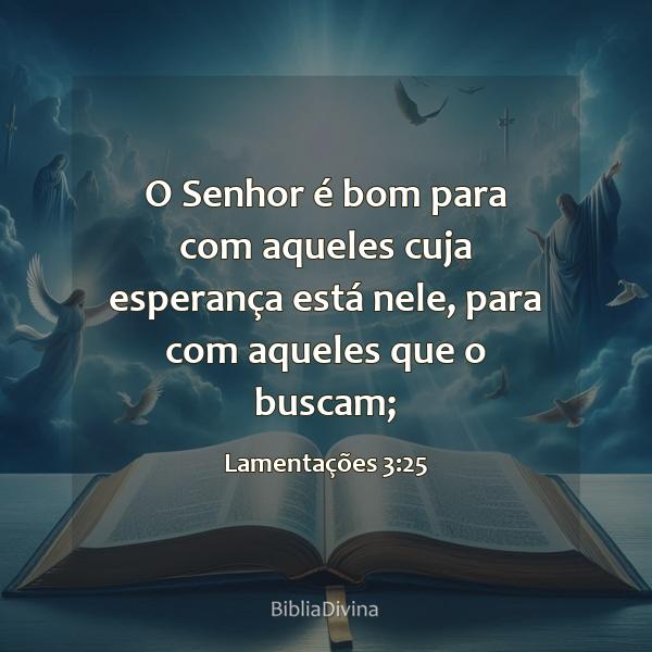 Lamentações 3:25