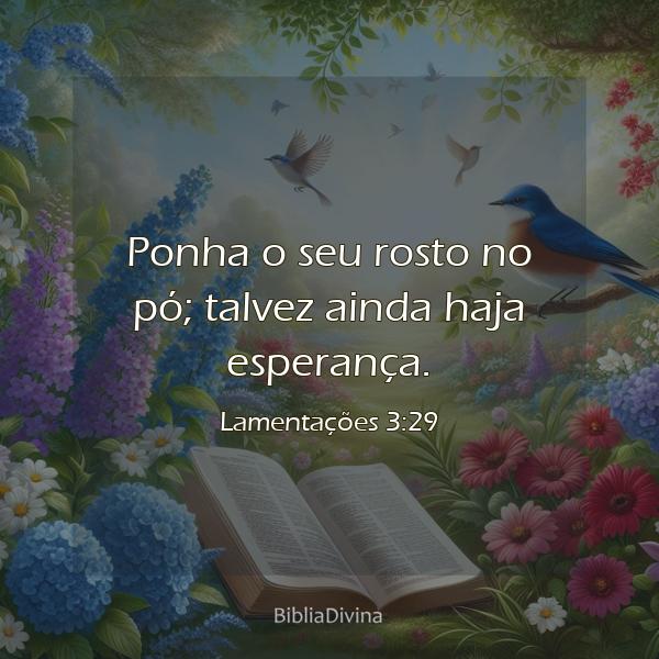 Lamentações 3:29