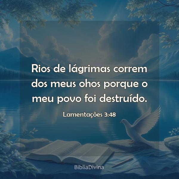 Lamentações 3:48