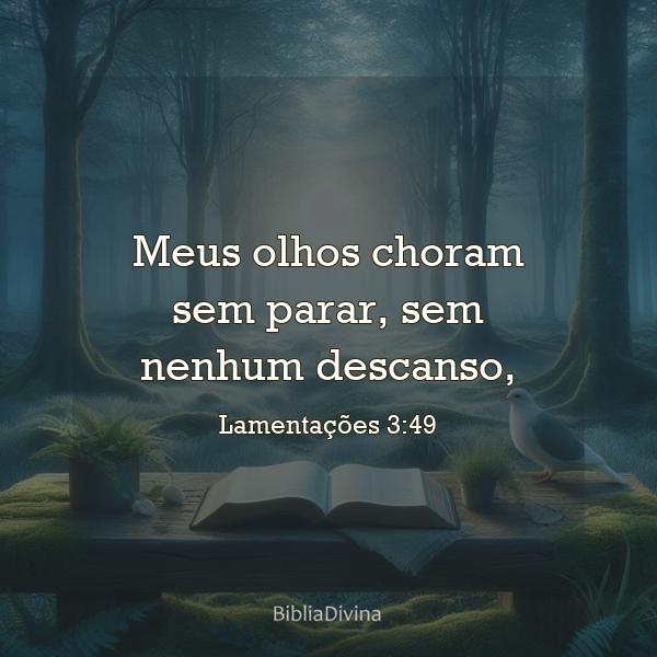 Lamentações 3:49