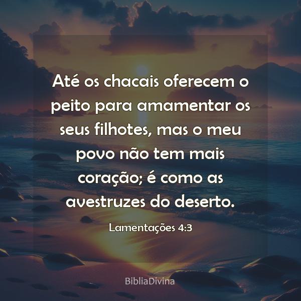 Lamentações 4:3