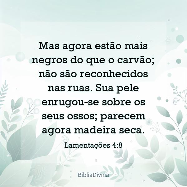 Lamentações 4:8