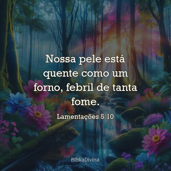 Lamentações 5:10