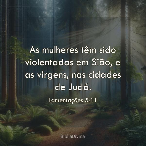 Lamentações 5:11