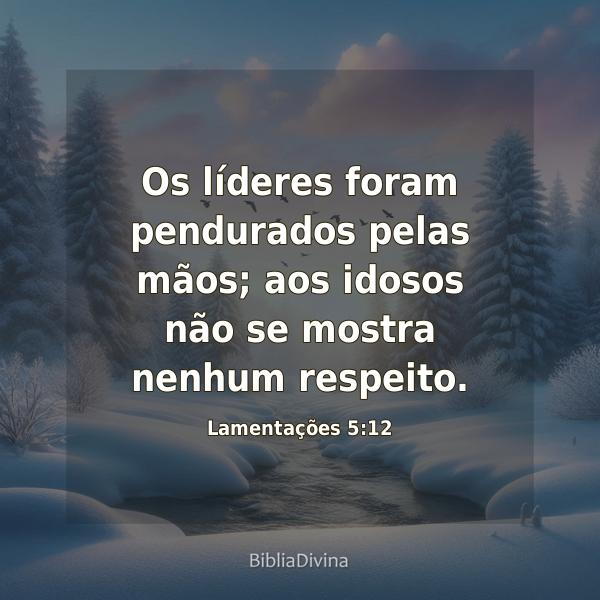 Lamentações 5:12