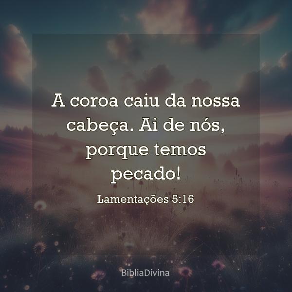 Lamentações 5:16