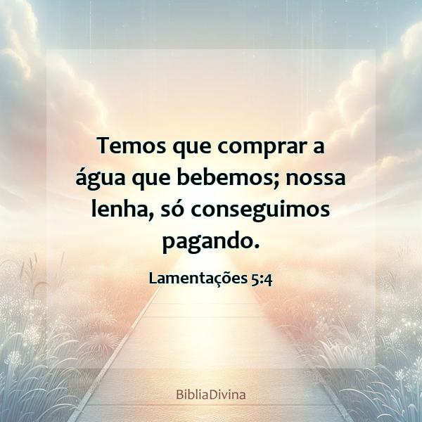 Lamentações 5:4