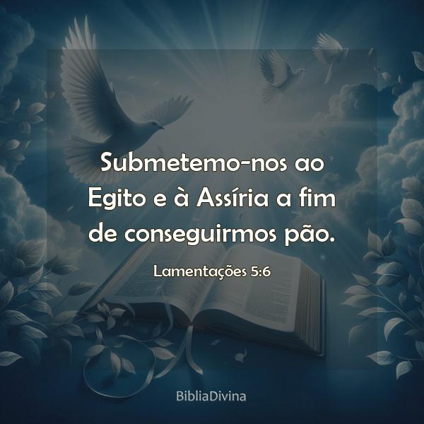 Lamentações 5:6